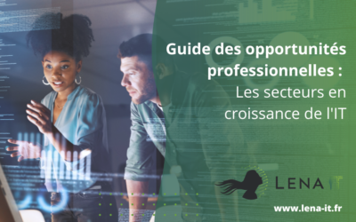 Guide des opportunités professionnelles : Les secteurs en croissance de l’IT